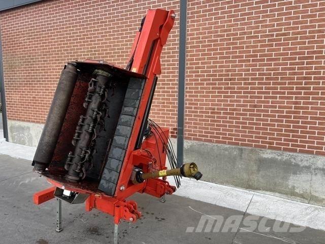 Maschio cristina Gadanheiras