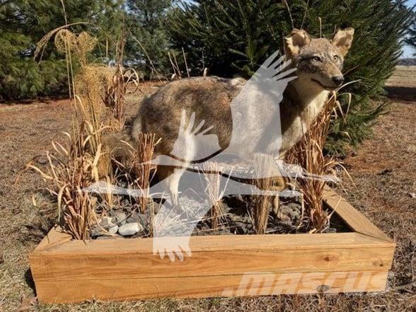 Coyote  Construção - Outros
