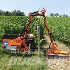  Rinieri BR-Vigna Corta-sebes