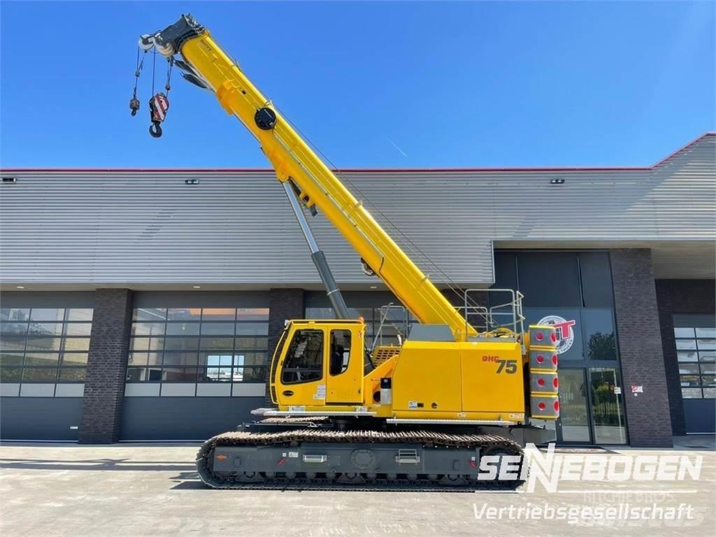 Sennebogen Grove Gruas de rastos
