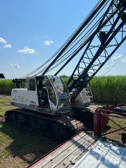 Terex HC 80 Gruas de rastos