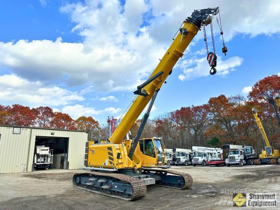 Grove GHC 75 Gruas de rastos