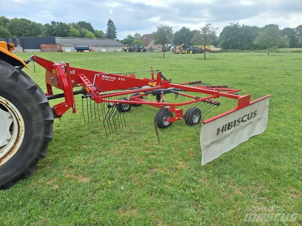 Lely Hibiscus 455 Gadanheiras-fileiras