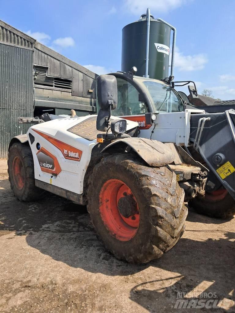 Bobcat TL 43.80 HF Telescópicas para Agricultura