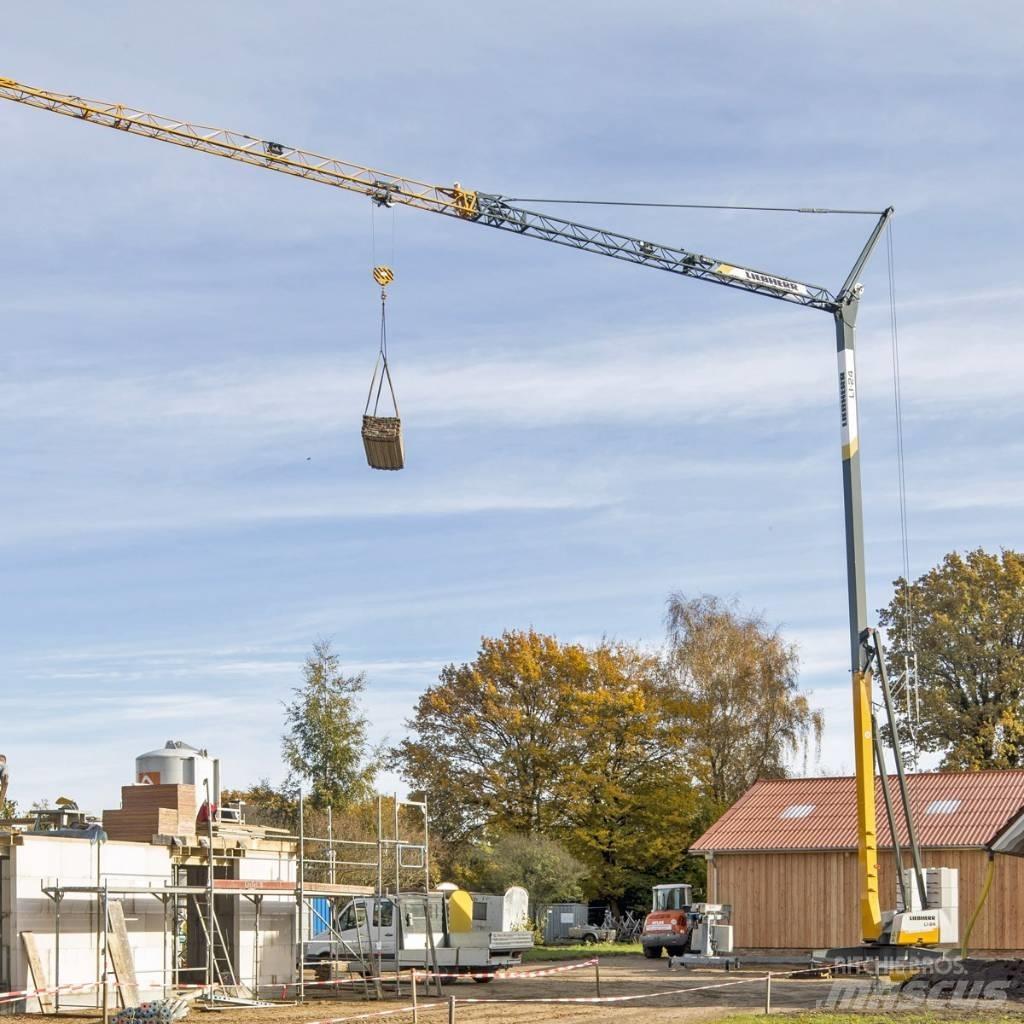 Liebherr L1-24 Auto-gruas