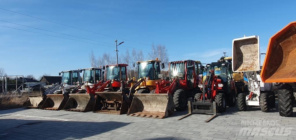 Liebherr L 550 Carregadeiras de rodas