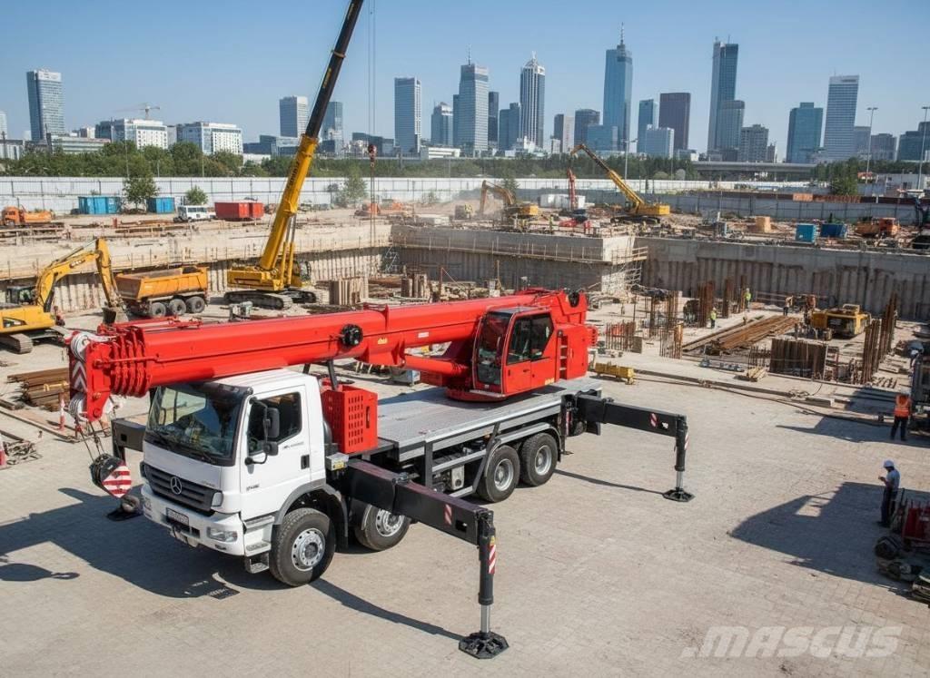 TCM 100 SP Gruas de rastos