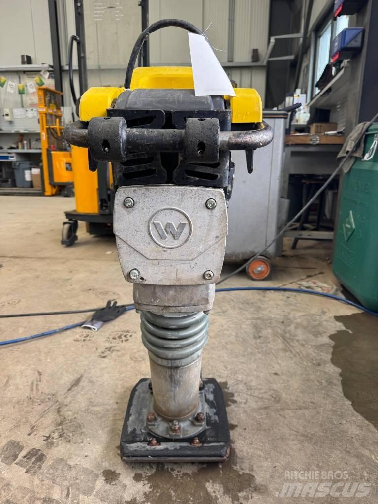 Wacker Neuson BS50-2 Saltitões