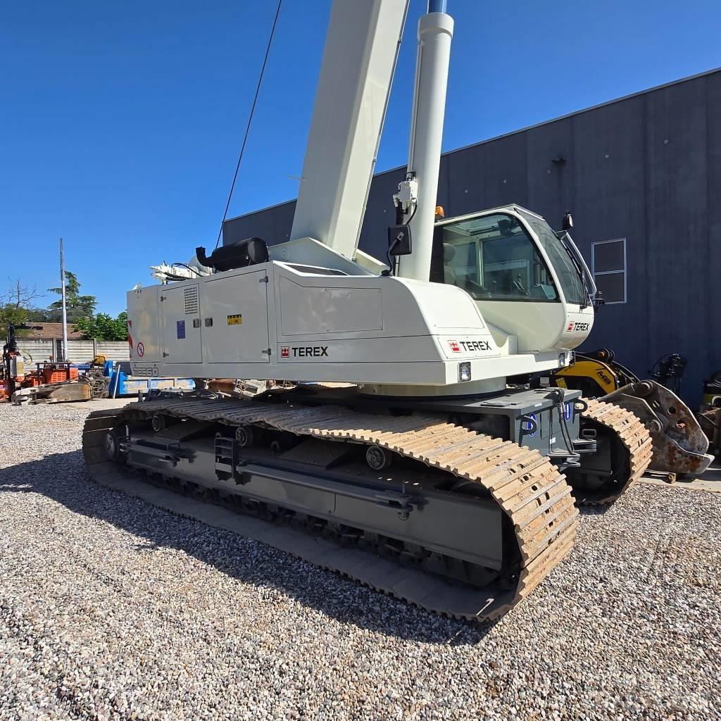 Terex Bendini TCC60 Gruas de rastos