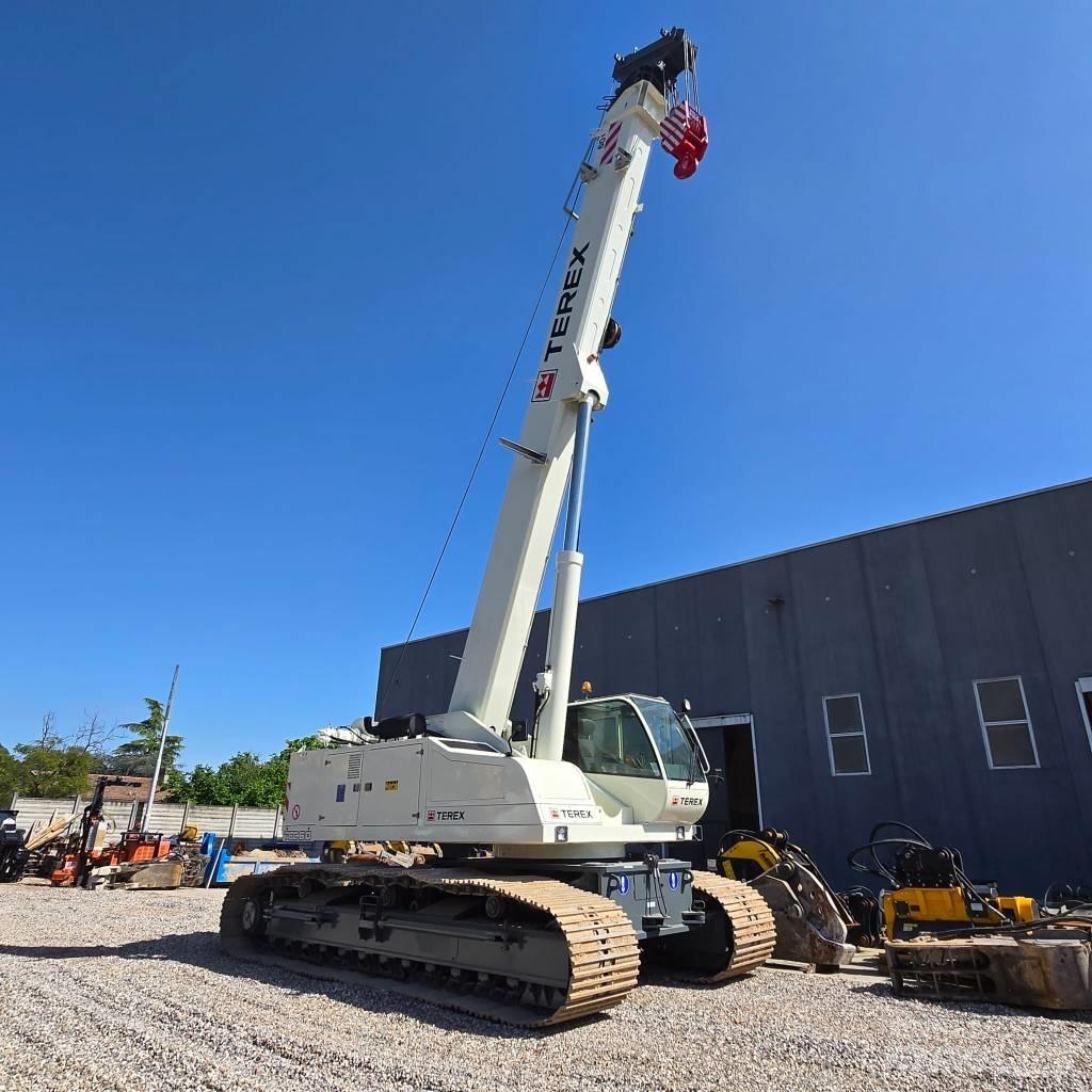Terex Bendini TCC60 Gruas de rastos