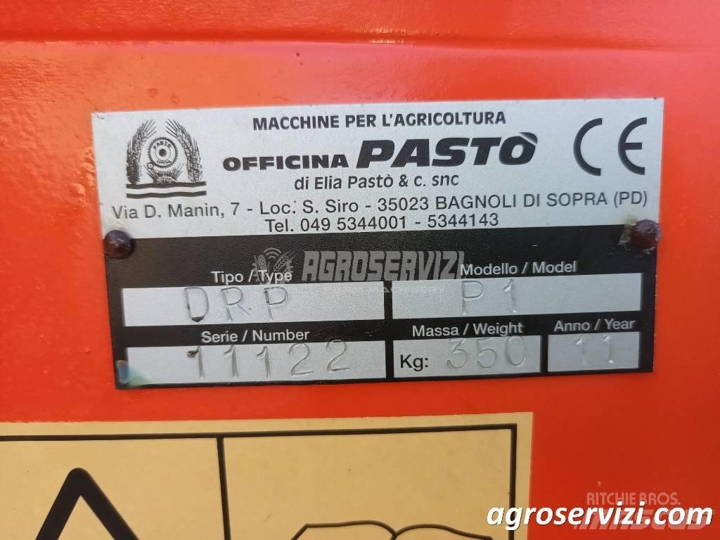  PASTÓ DRP P1 Charruas aivecas