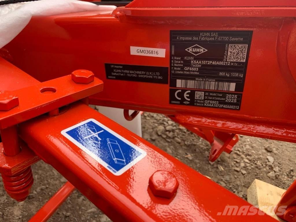 Kuhn GF6503 TEDDER Ancinho virador