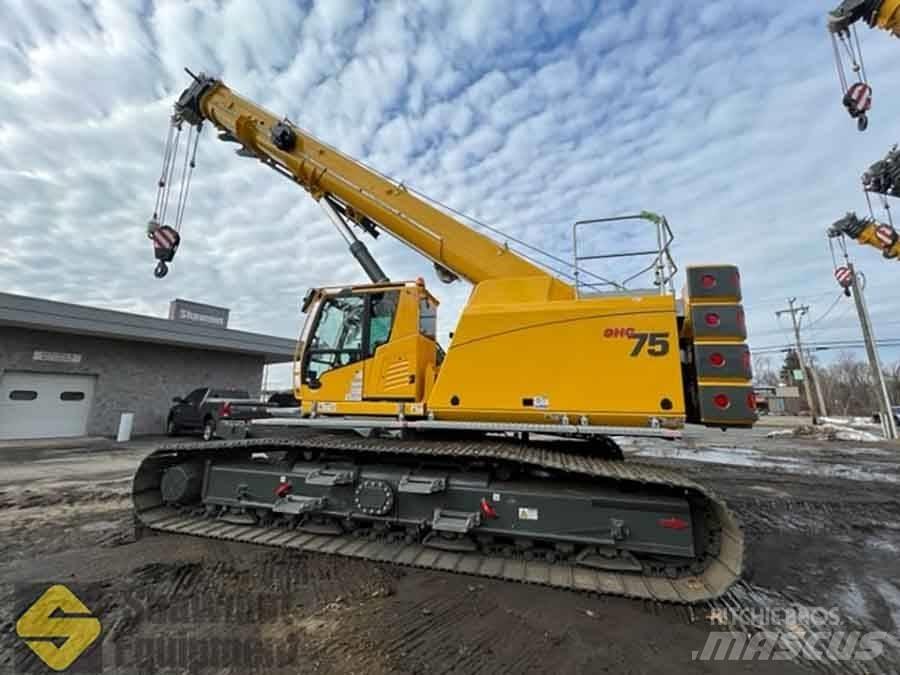 Grove GHC 75 Gruas de rastos
