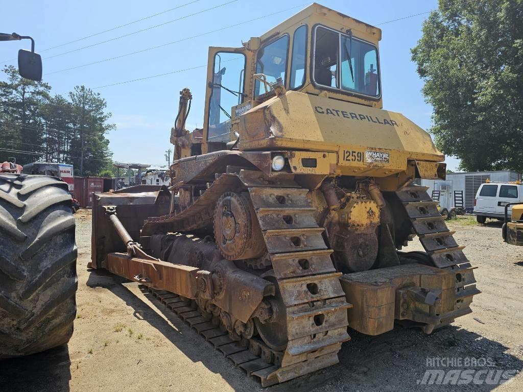 CAT D8N Dozers - Tratores rastos