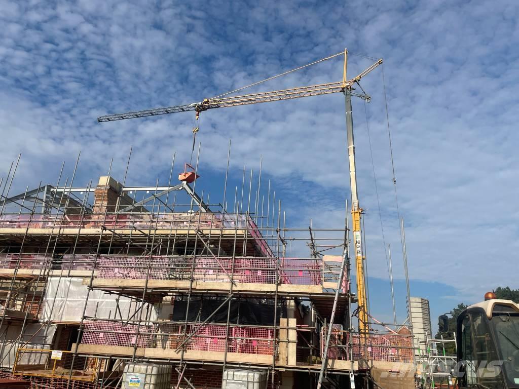 Liebherr 32 TT Auto-gruas