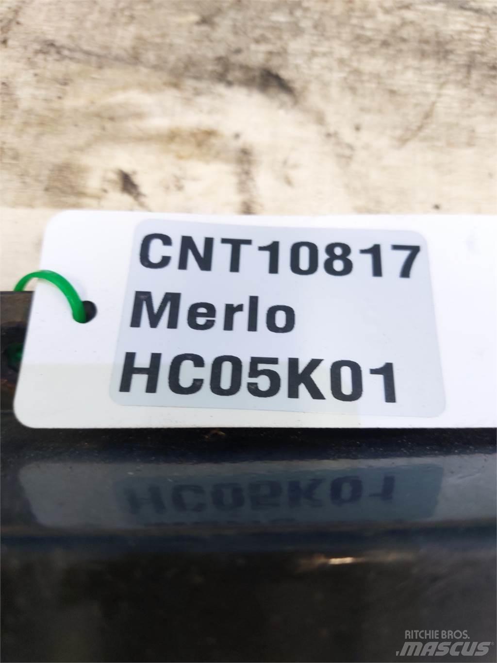 Merlo  Baldes crivo