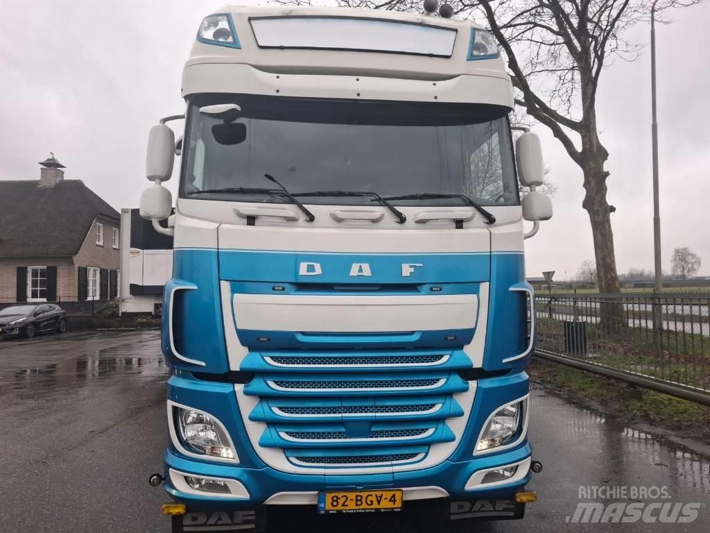 DAF XF 440 Cavalos Mecânicos