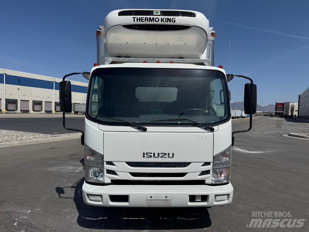 Isuzu NQR Caminhões caixa temperatura controlada
