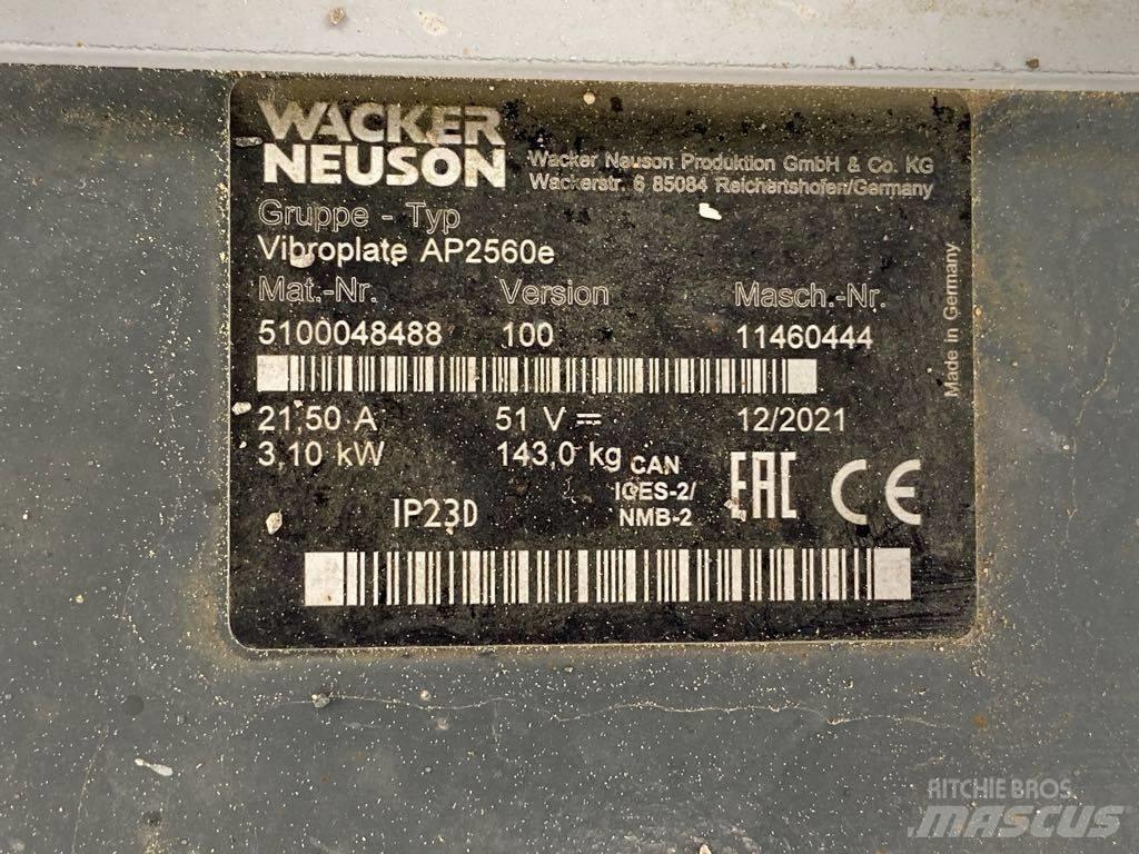 Wacker Neuson AP2560 Vibradores