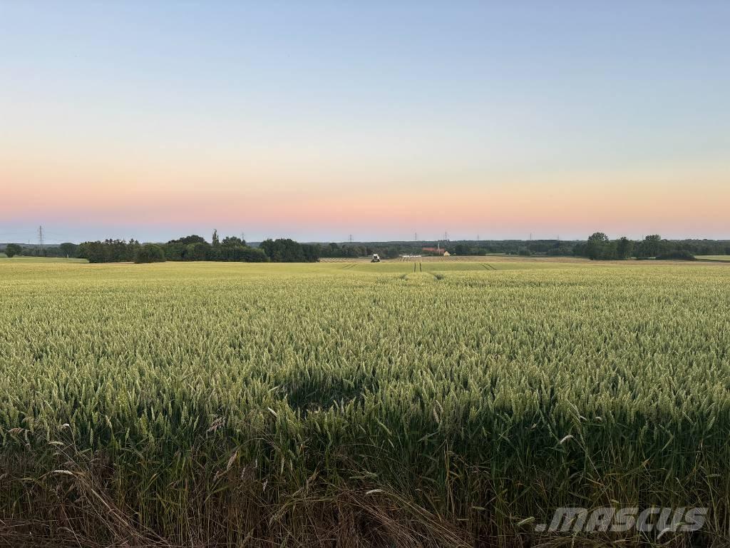 Case IH Maxxum 115 Tratores Agrícolas usados