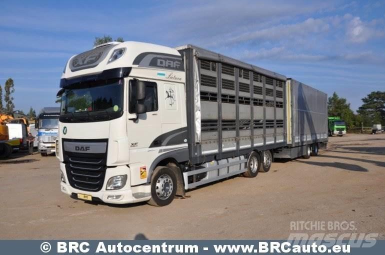 DAF XF 460 FAR Cavalos Mecânicos