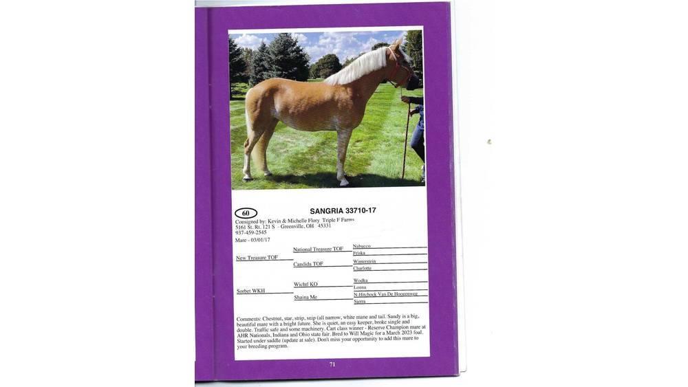  8 YO Chestnut Mare Outra maquinaria e acessórios para gado