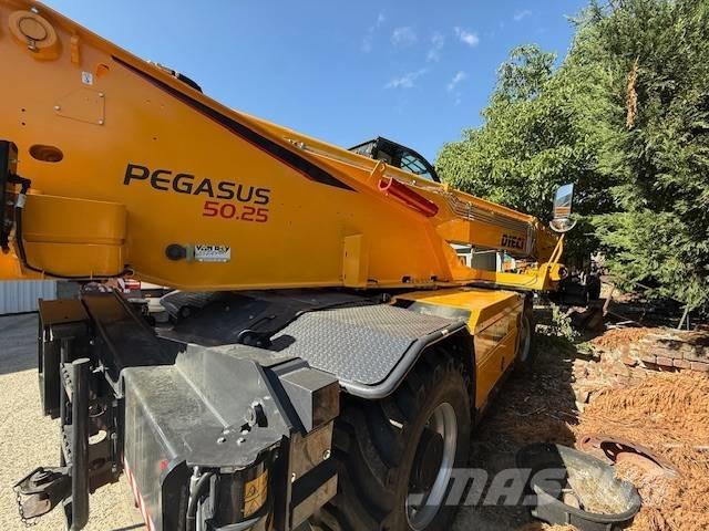 Dieci Pegasus 50.25 Manipulador telescópico