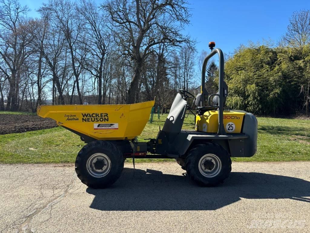 Wacker Neuson 3001 Dumpers de obras