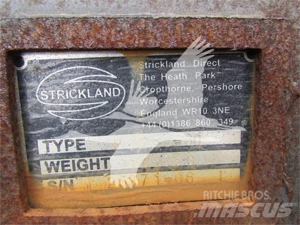 Strickland  Baldes