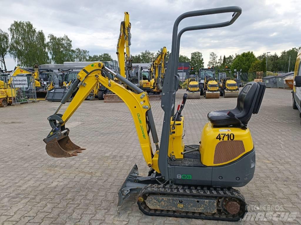 Wacker Neuson 803 Escavadeiras de esteiras