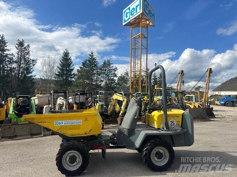 Neuson 3001 Dumpers de obras