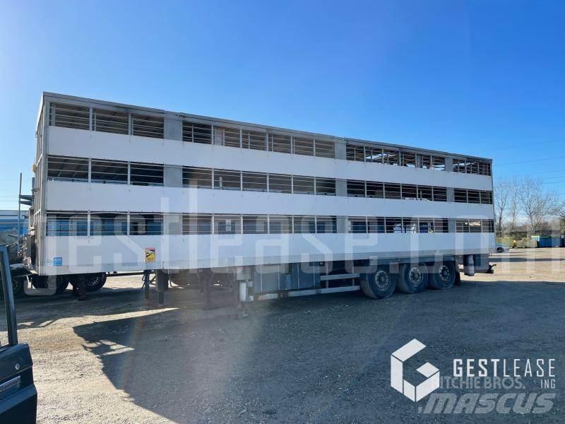 Samro ST39WG Semi Reboques Transporte Animais
