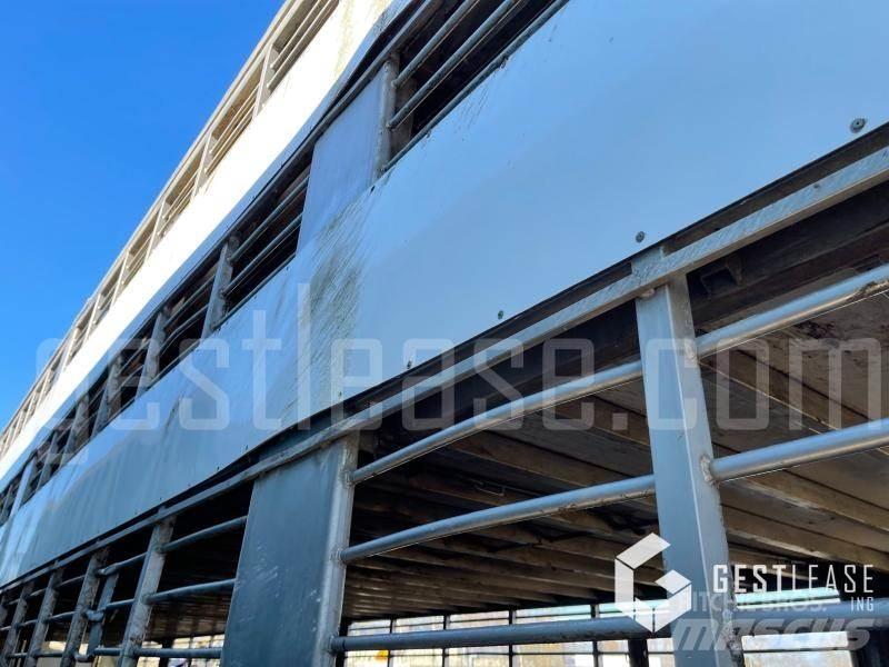 Samro ST39WG Semi Reboques Transporte Animais