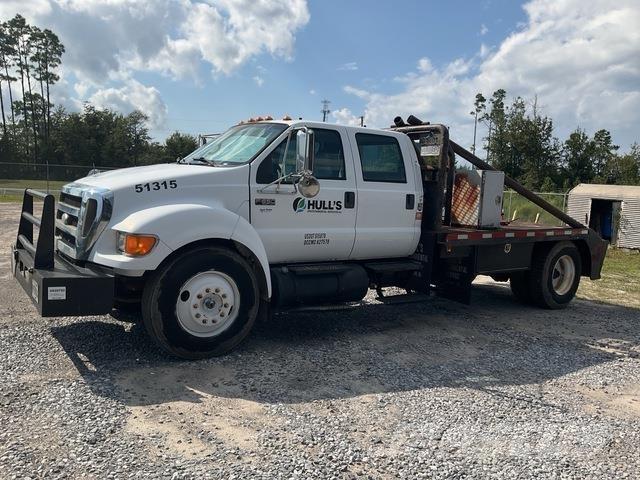 Ford F-650 Camiões grua
