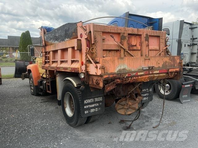Ford F-800 Lâminas de neve e arados