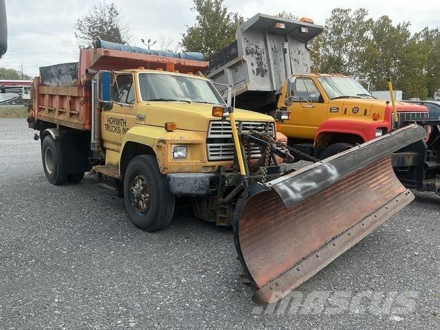 Ford F-800 Lâminas de neve e arados
