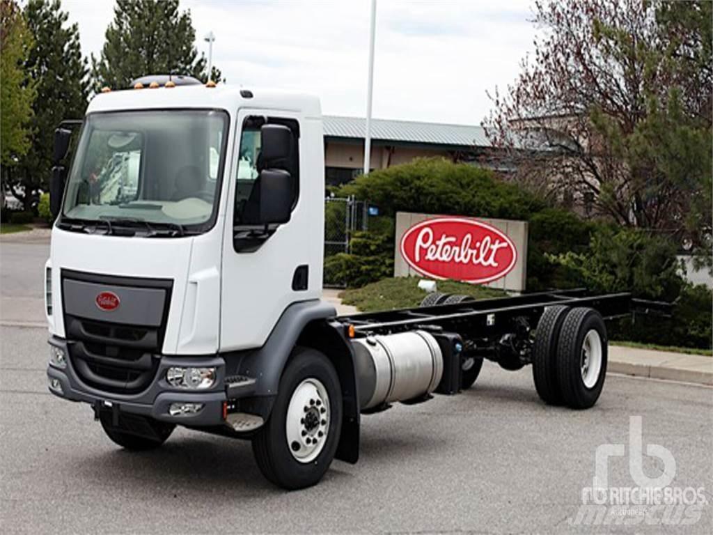 Peterbilt 220 Camiões de chassis e cabine