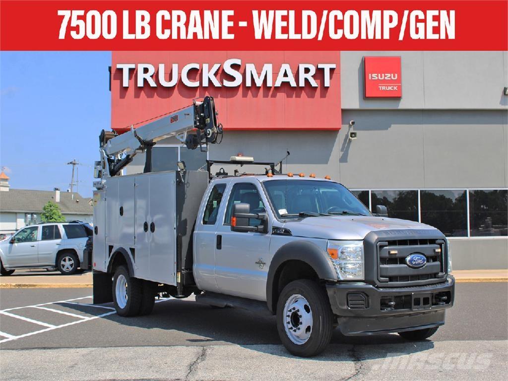 Ford F-550 Camiões grua
