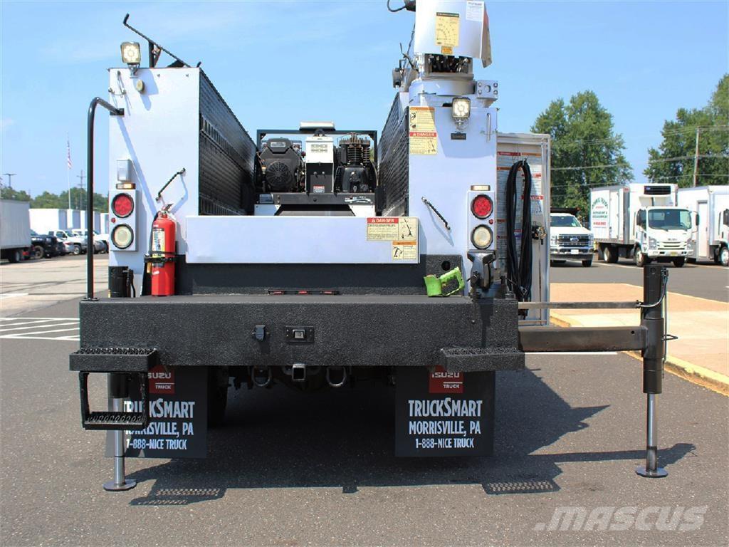 Ford F-550 Camiões grua