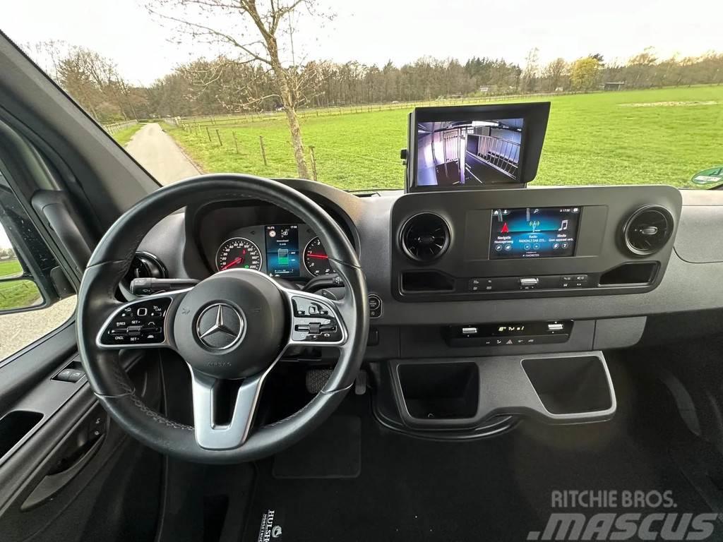 Mercedes-Benz Sprinter 315 AMG 2-paards paardenvrachtwagen B-rij Camiões de transporte de animais