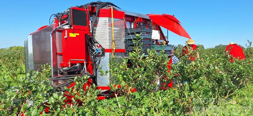 Weremczuk Kombajn do malin KAREN | Raspberry harvester Máquinas de vindima