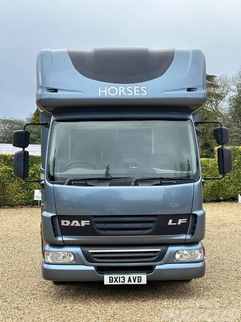 DAF LF Horsebox (2020 Build) Camiões de transporte de animais